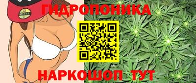 стафф Будённовск