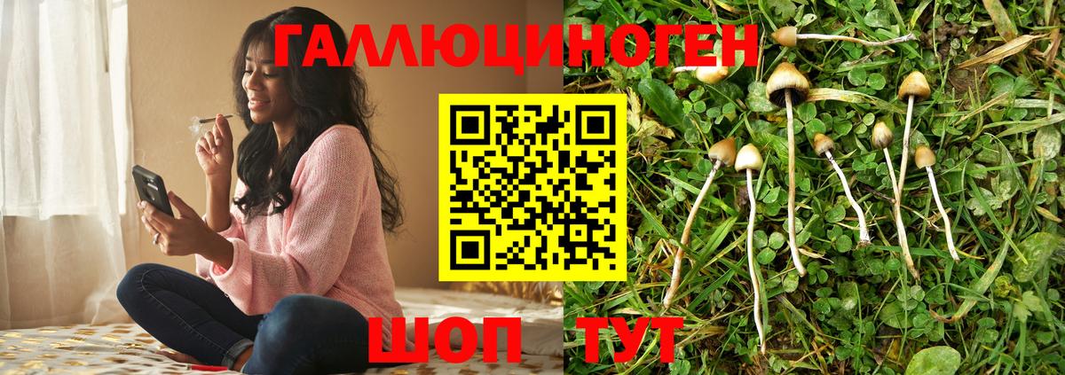 Псилоцибиновые грибы Psilocybine cubensis  Вход с VPN  Чита  Галлюциногенные грибы Psilocybine cubensis 
