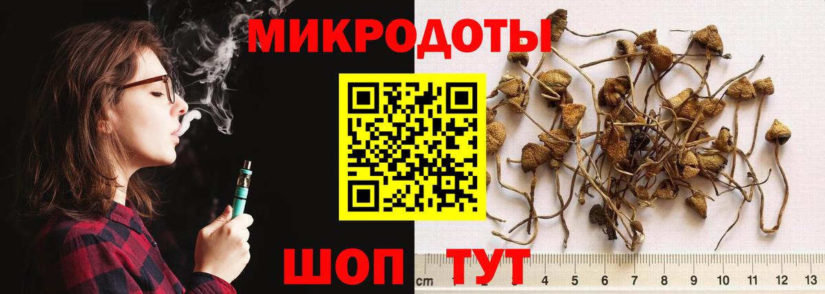 Галлюциногенные грибы Psilocybe Чита